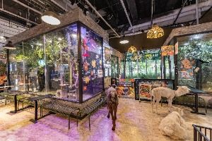 테이블에이 앤 로우캣