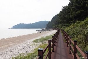승봉도 해안산책로