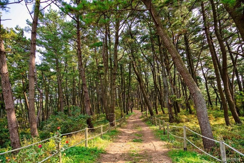 인천_승봉산림욕장 (4)