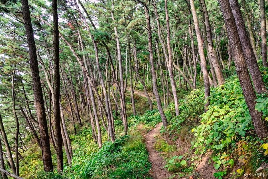 인천_승봉산림욕장 (2)