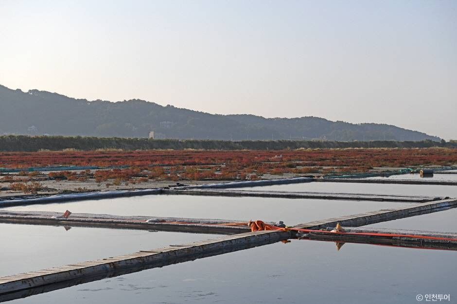 인천_신시모도 (신도ㆍ시도ㆍ모도) (4)