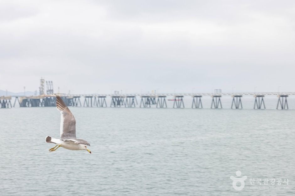 인천_신항 바다쉼터 (2)
