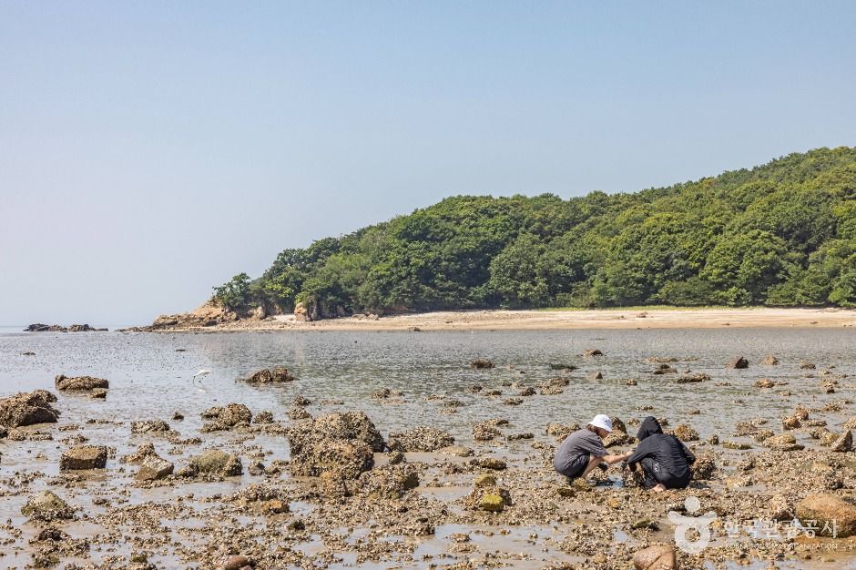 인천_실미도 (10)