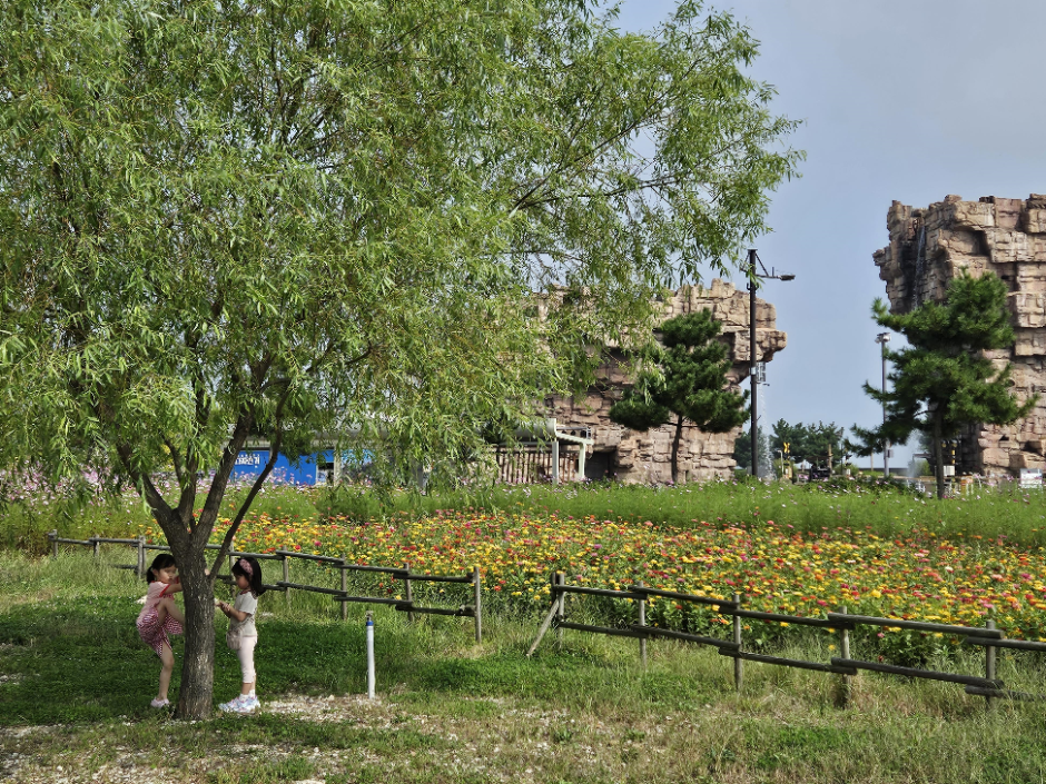 인천_씨사이드파크 (1)