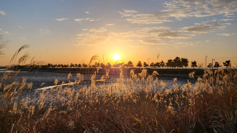 인천_씨사이드파크 (3)