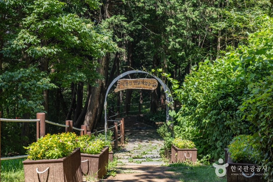 인천_영종진공원 (12)