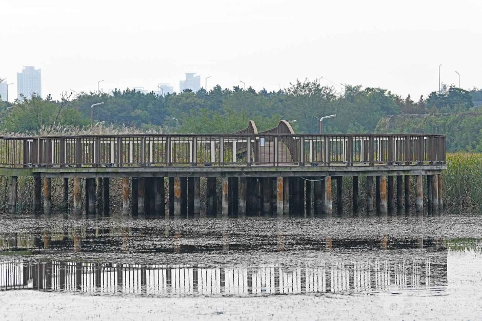 서구_아라빛섬 (4)