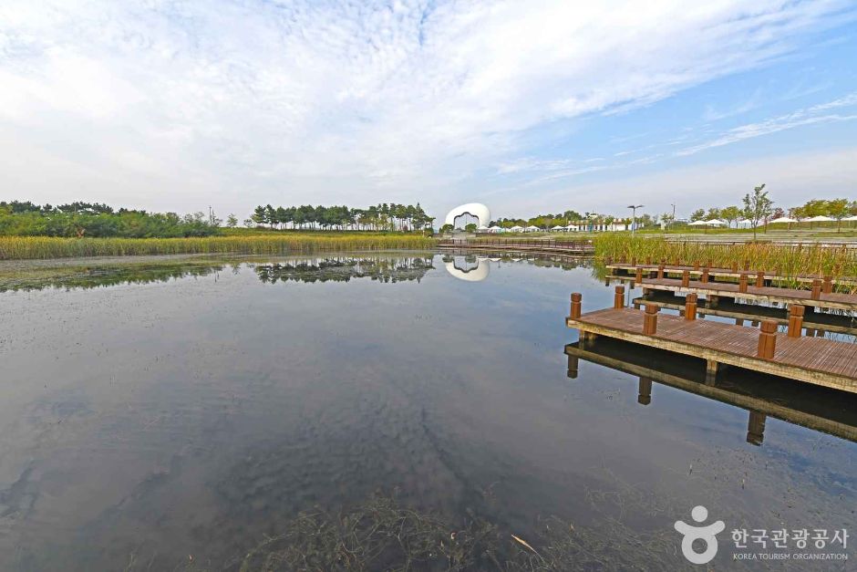 서구_아라빛섬 (5)