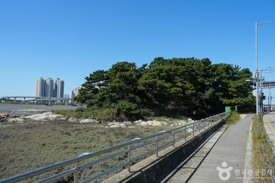 아암도해안공원 (2)