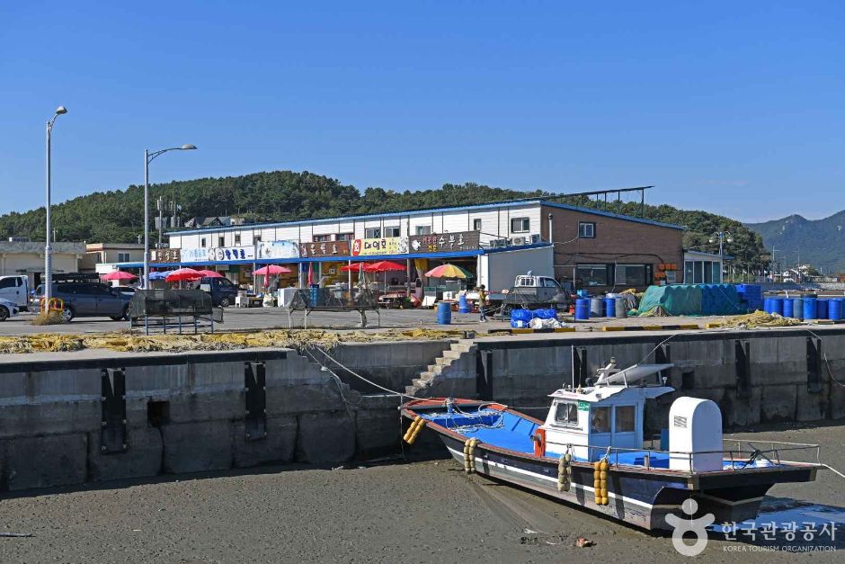 강화_어류정항 (4)