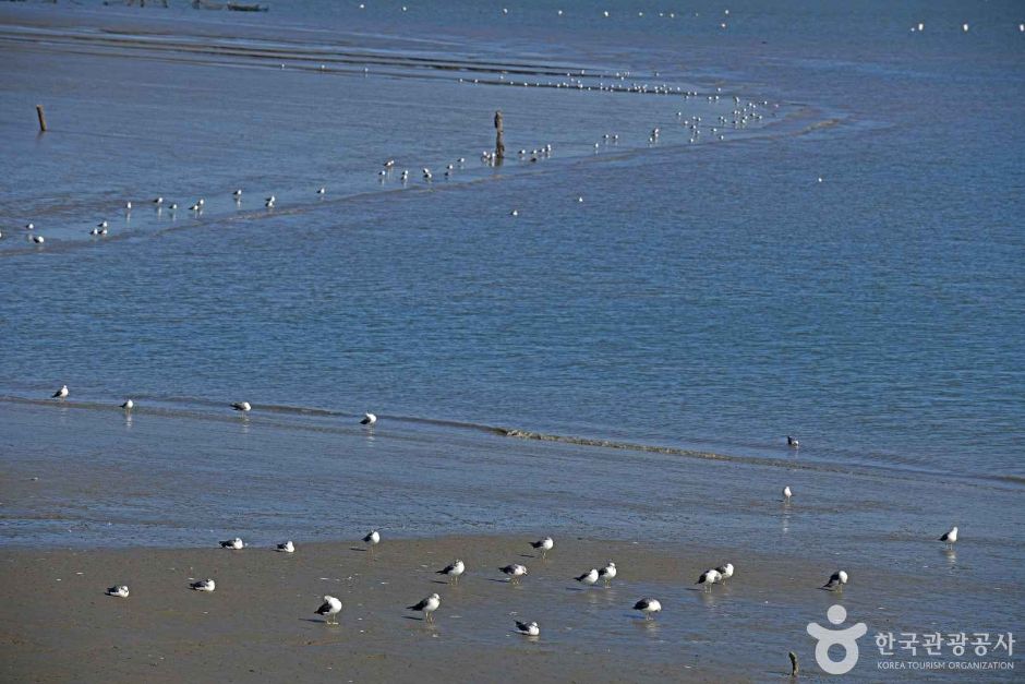 강화_어류정항 (6)