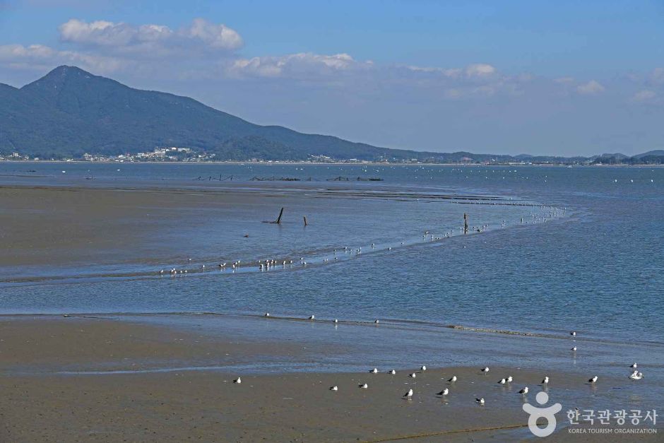 강화_어류정항 (7)