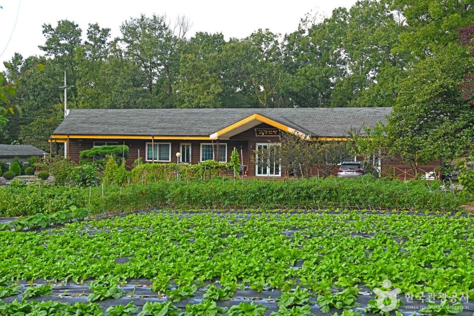 인천_강화_연등국제선원 (3)