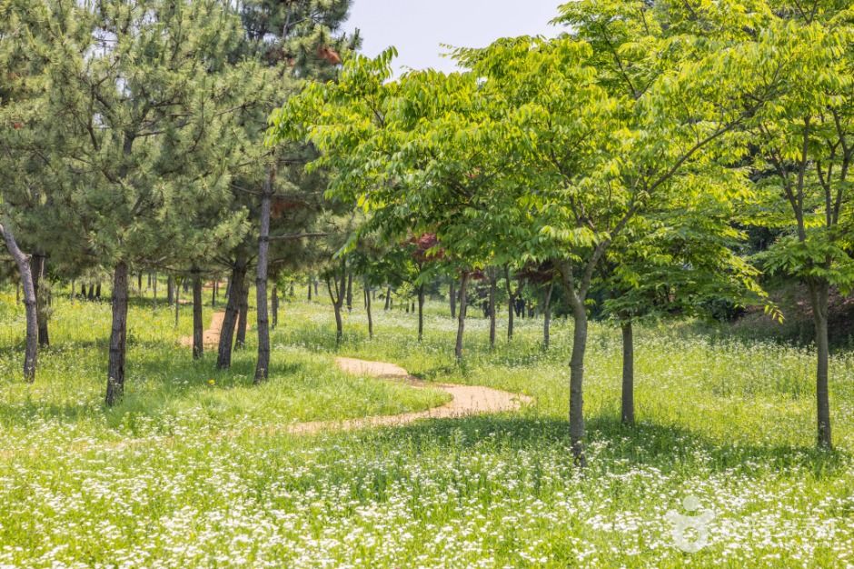 인천_연희공원 (5)