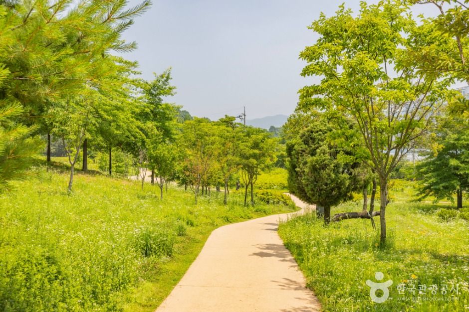 인천_연희공원 (2)