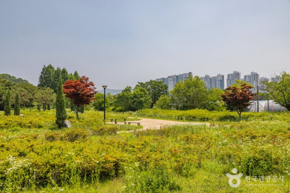 인천_연희공원 (7)