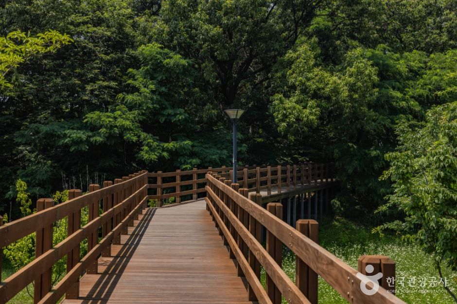 인천_연희공원 (8)