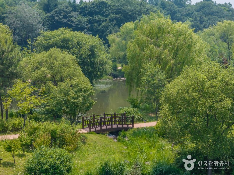 인천_연희자연마당 (8)