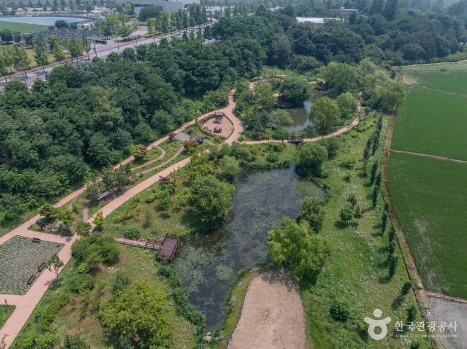 인천_연희자연마당 (11)