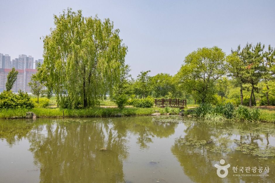 인천_연희자연마당 (12)