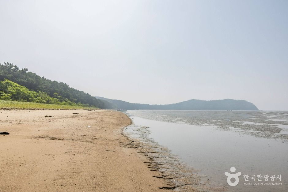 인천_영뜰해변 (3)