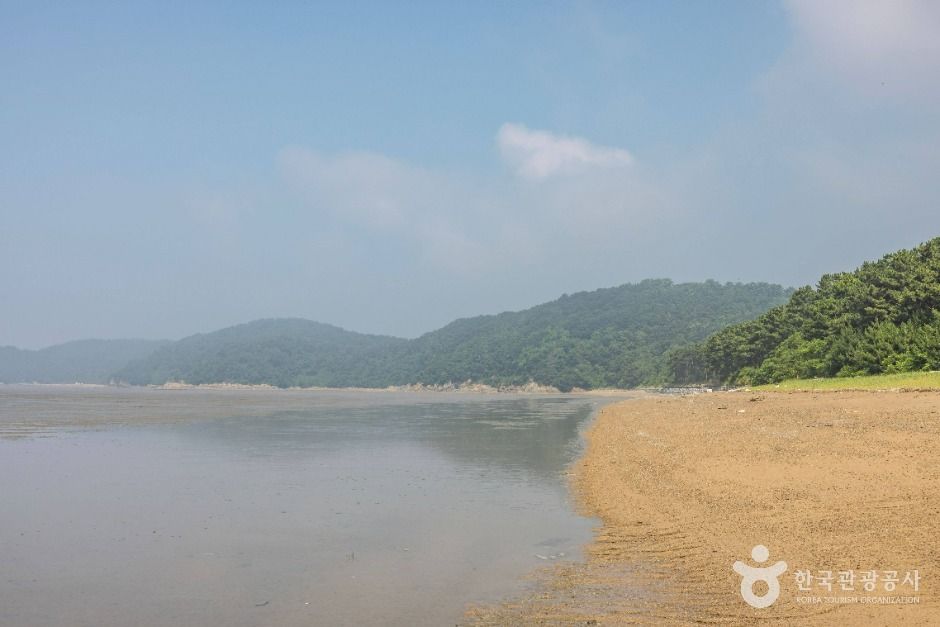 인천_영뜰해변 (4)