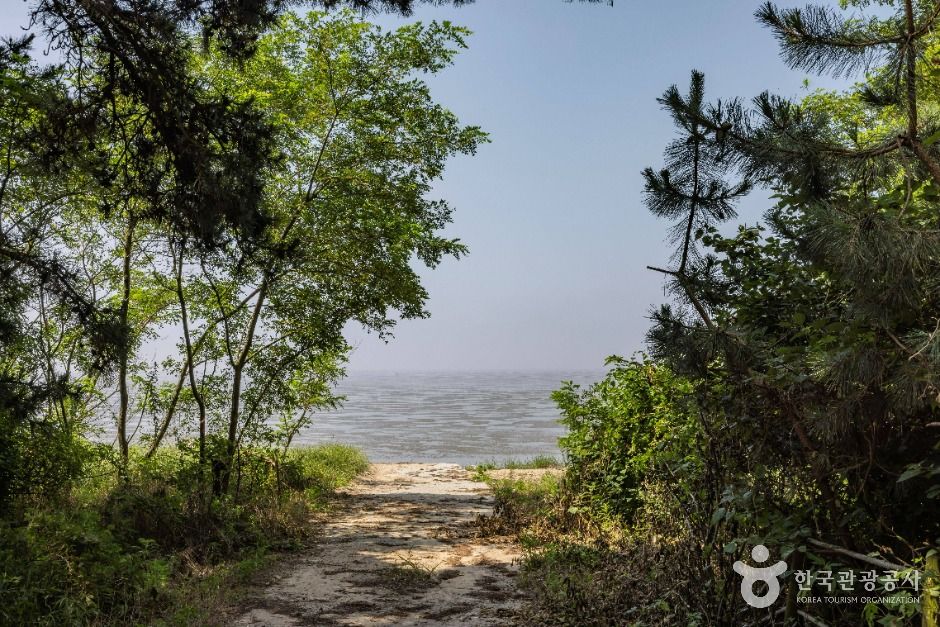 인천_영뜰해변 (6)