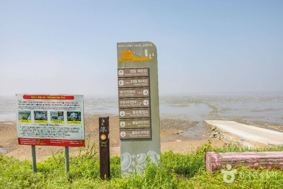 인천_영뜰해변 (7)