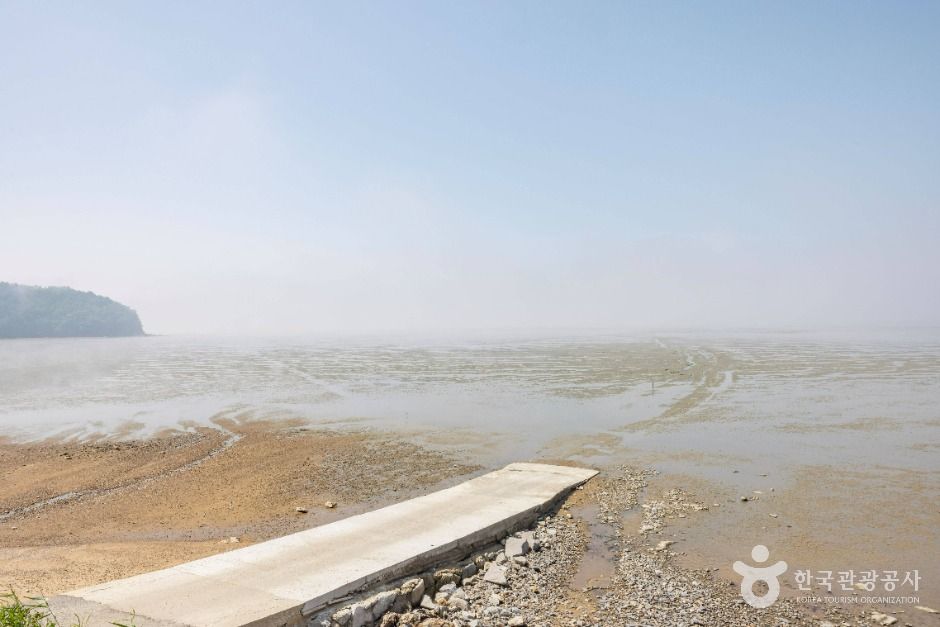 인천_영뜰해변 (13)