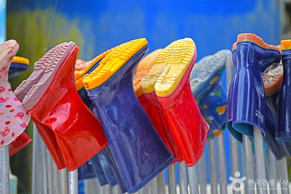 옹진_영암어촌계 체험장 (6)