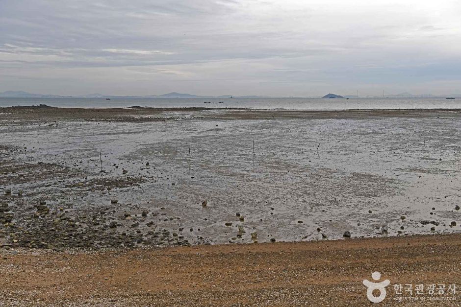 옹진_영암어촌계 체험장 (2)