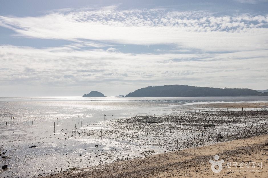 인천_영종도 마시안해변 (4)