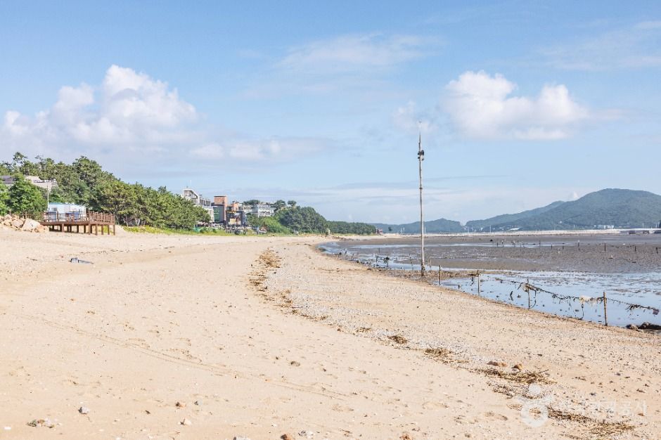 인천_영종도 마시안해변 (6)