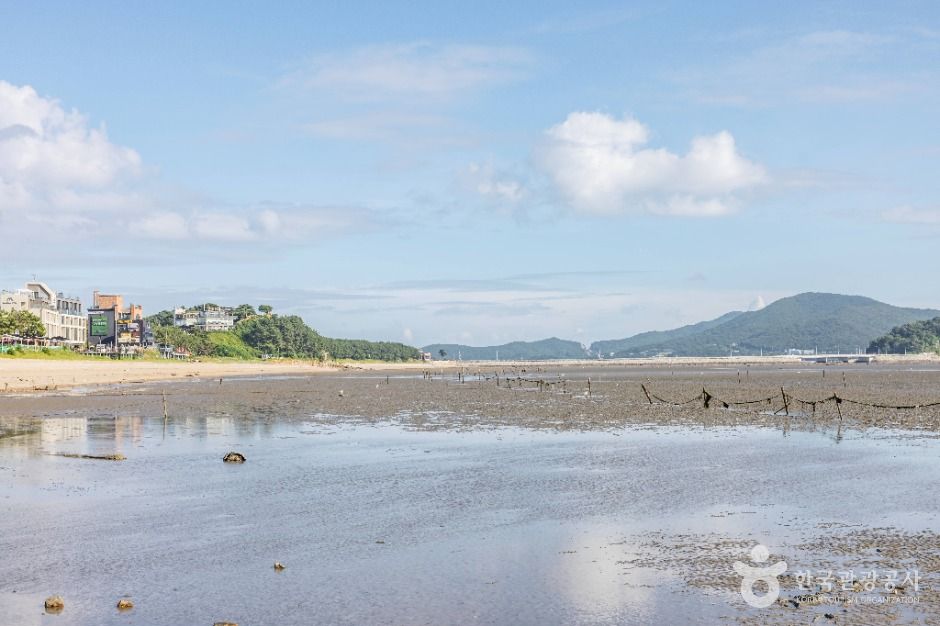 인천_영종도 마시안해변 (7)
