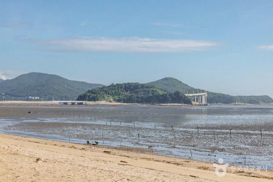 인천_영종도 마시안해변 (8)