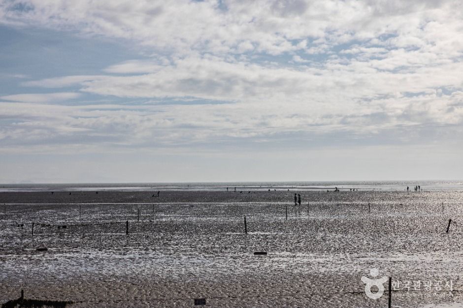 인천_영종도 마시안해변 (9)