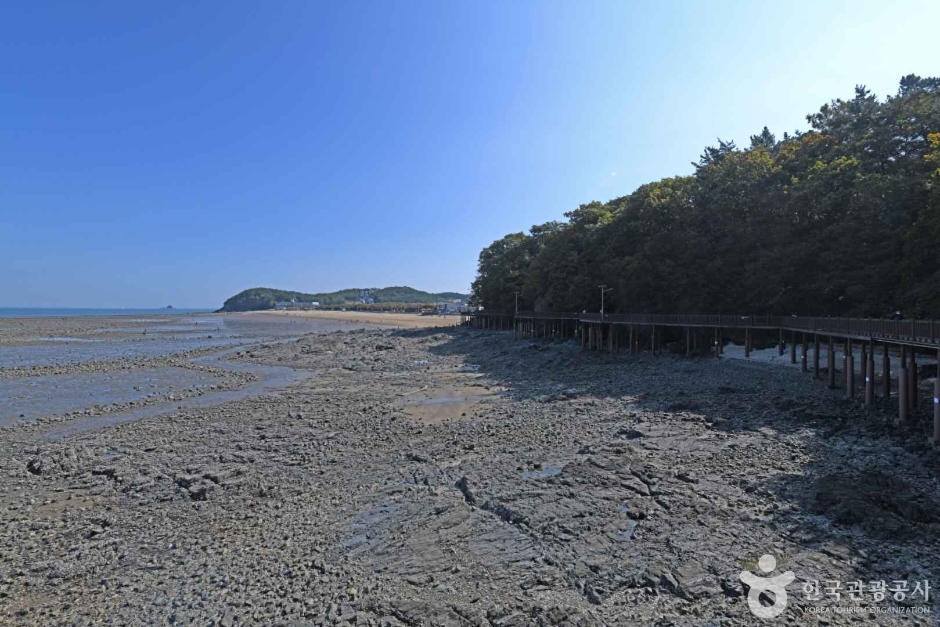 영흥도 십리포해변 (2)