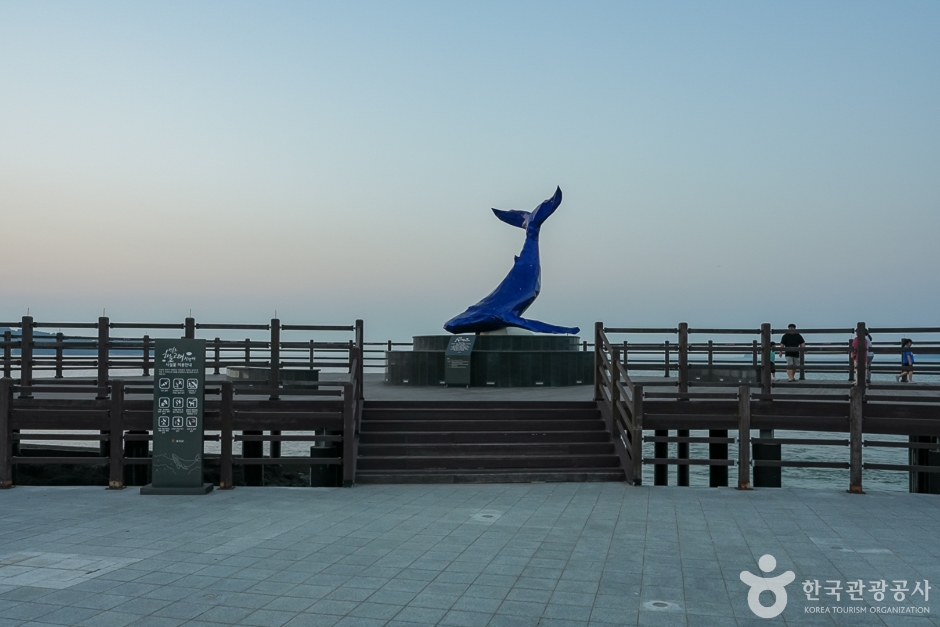 영흥도 하늘고래전망대(20)