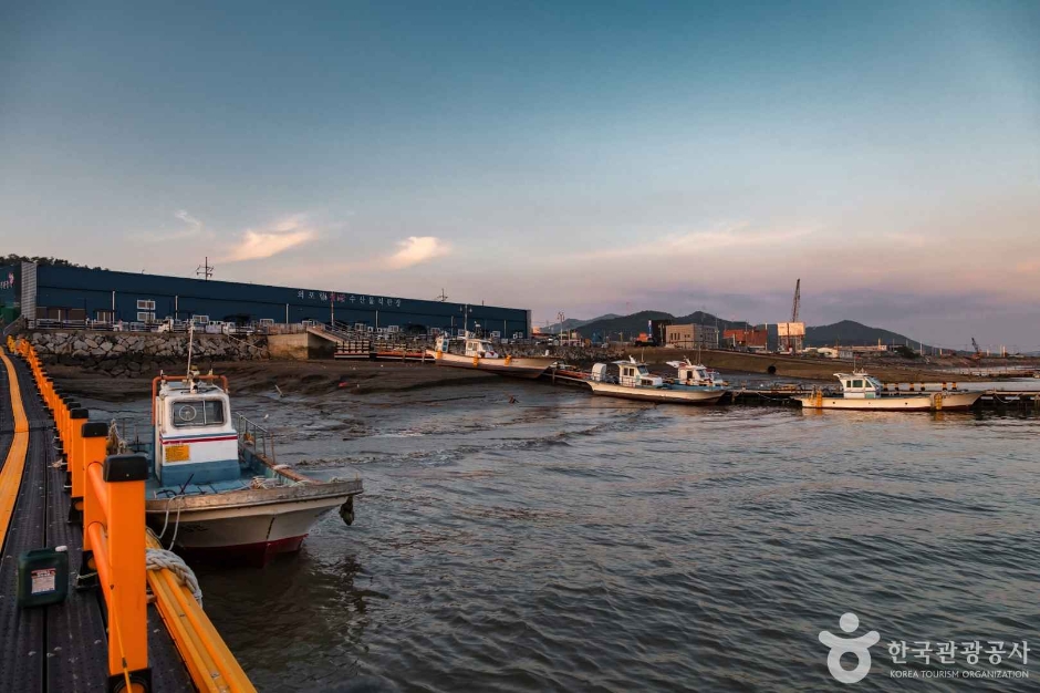 외포리선착장 (12)