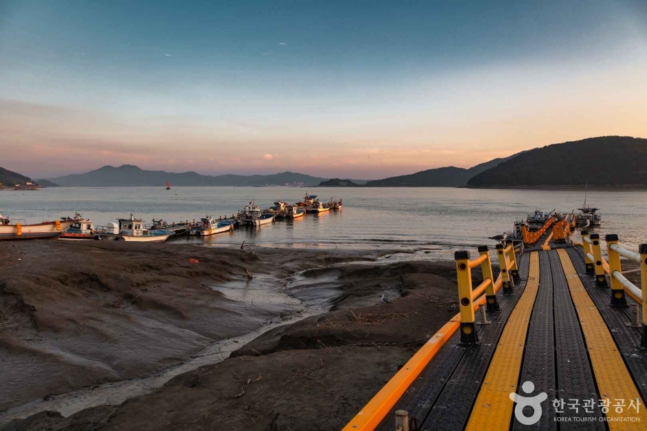 외포리선착장 (13)