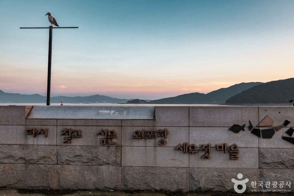 외포리선착장 (6)