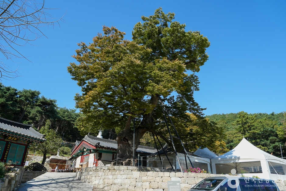 A04424_인천_중구_용궁사(4)