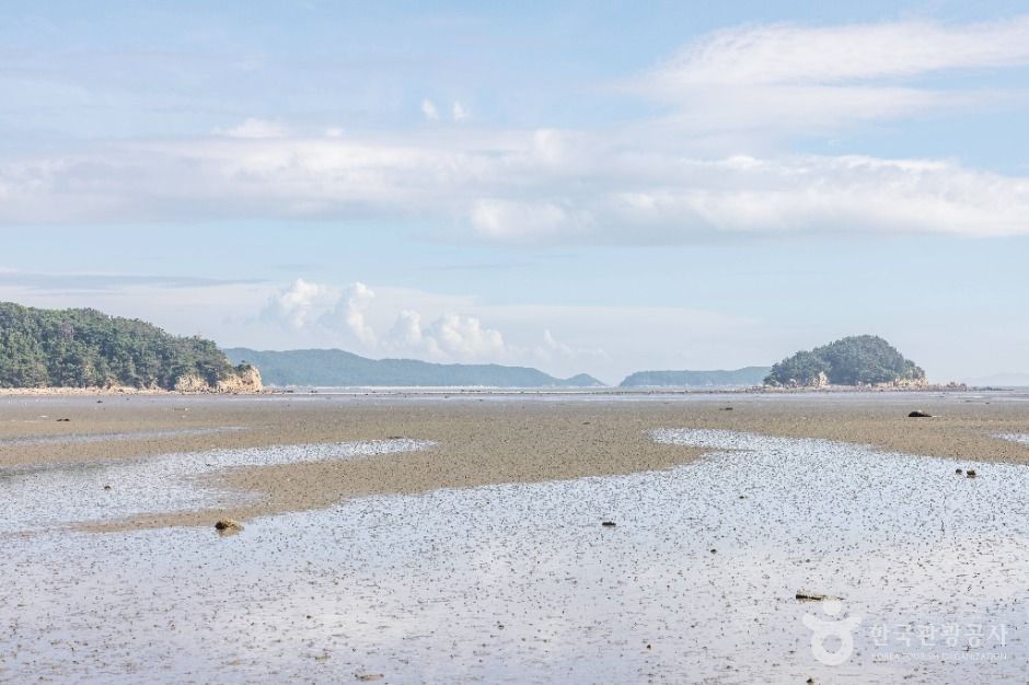 인천_용유도해변 (3)