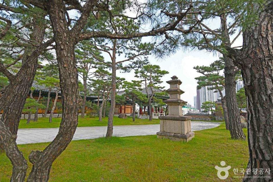 미추홀구_용화선원 (4)