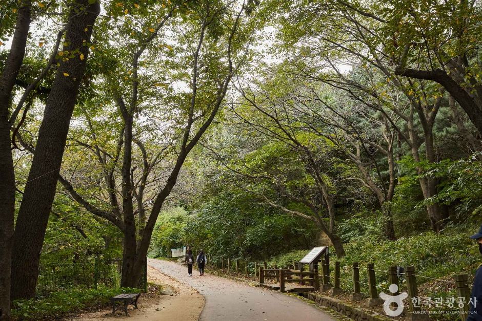 인천_월미산 (2)