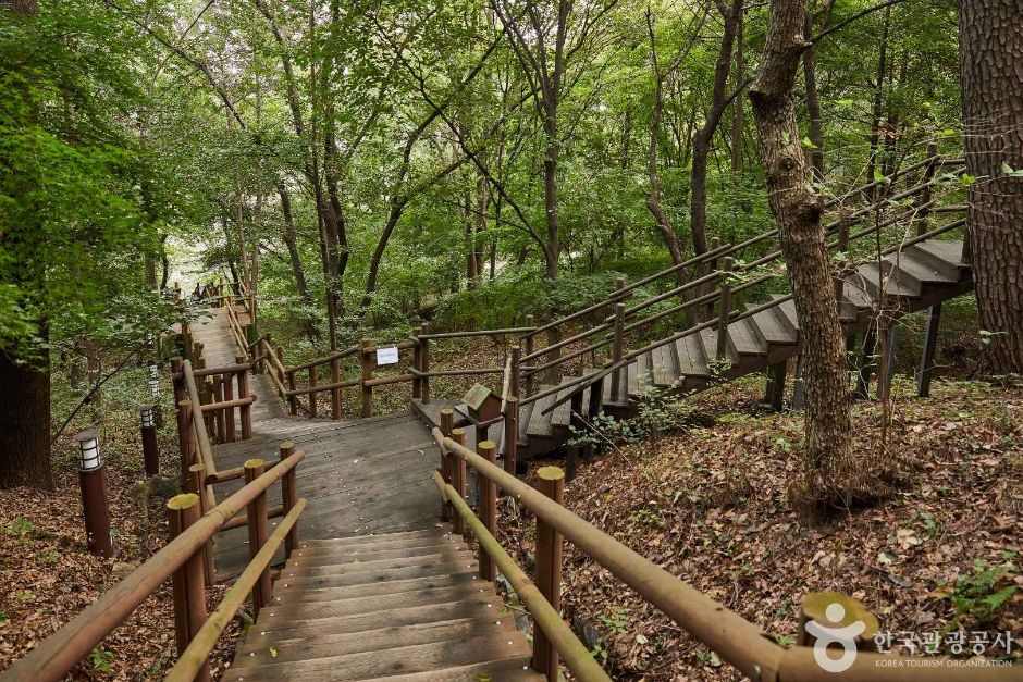 인천_월미산 (3)