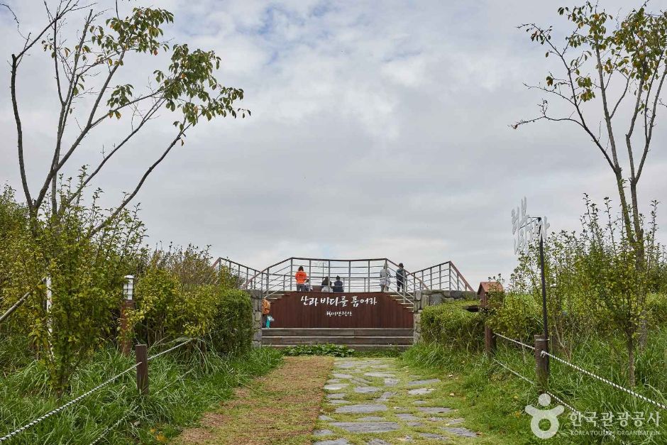 인천_월미산 (6)