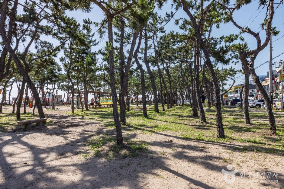 인천_을왕리해수욕장 (10)