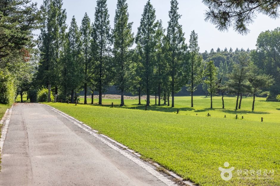 인천_인천 경서동 녹청자 요지 (2)