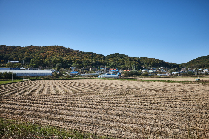 한국문화정보원_인천 푸른벗말 04